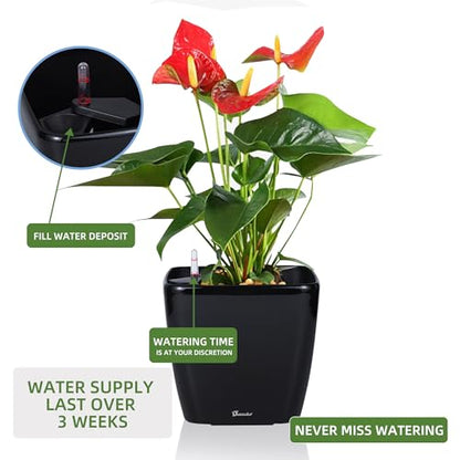 Dexceder 11x10 Self Watering Planter (Black High Gloss) - color: Black, size: 11x10