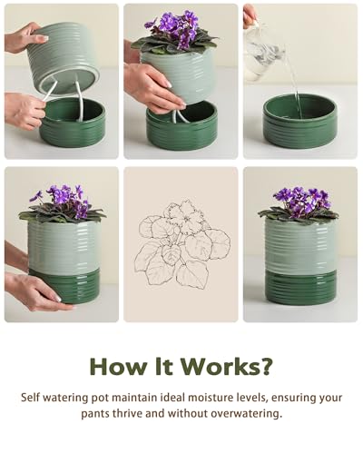 Fayoula Self Watering Pots for Indoor Plants, 6 Inch Ceramic Self Watering Plant Pot, Planter Pot with Wick Rope and Drainage Hole for African Violet Succulent Herbs (Green Light) - color: Green Light