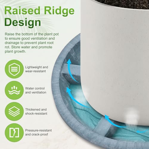 M METERXITY 2-Pack Plant Saucers, 8 Inch OD Anti-Rot Root Resin Flower Pot Plant Saucers for Indoor/Outdoor, Flowerpot Drip Tray [6.3 Inch ID, Blue] - color: Blue, size: 8 Inch OD