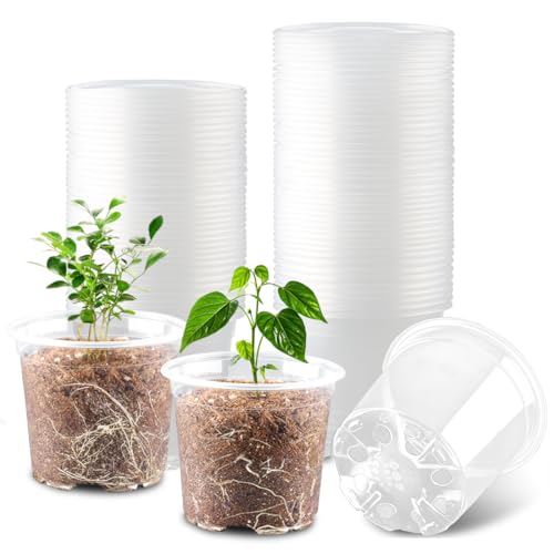 RooTrimmer 100 Pack 4 Inch Clear Plant pots with Drainage Holes, Transparent Nursery Seeding Pots, Flexile Seeds Starter Pots, Seeds Germination (4Inch,100P,Clear) - size: 4 Inch 100P