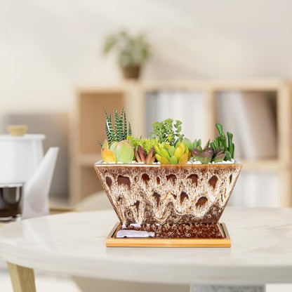 ARTKETTY Succulent Pots, 7 Inch Large Plant Pots with Drainage Tray - color: White With Tray