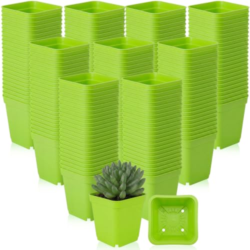 Yaomiao 200 Pack 3 Inch Green Nursery Pot Square Flower Pots Plastic Plant Succulent Planter Seed Starting Pots with Drainage Holes for Garden Office Balcony Decor Indoor Outdoor Plant Seedling - color: Green