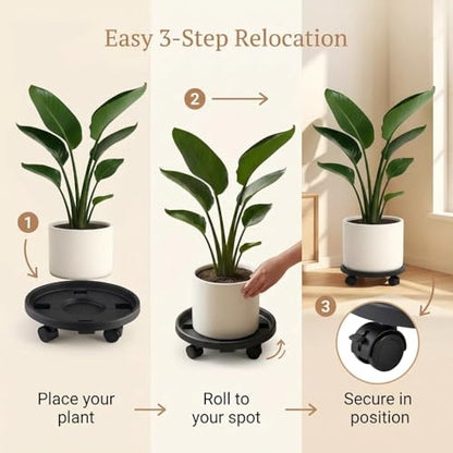 Rolling Plant Stand Outdoor 3 Pack 14 Inch Plant Caddy with Wheels, Black - color: Black, size: 14 inch