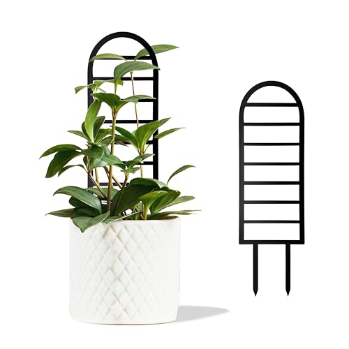 Metal Ladder Arch Plant Trellis,14.96 inch for Climbing Plants Indoor - color: Arch