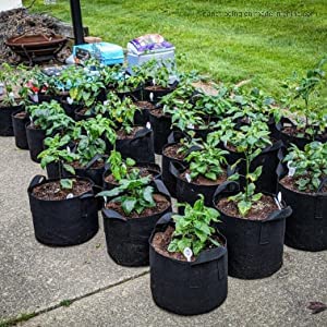 10 Heavy Duty Nursery Grow Bags - Great for Growing Trees, Bushes, Vegetable Plants or Flowers - Indoor or Outdoor Grow Containers 5,10, or 20 Gallon (10 Gallon) - color: 10 Gallon