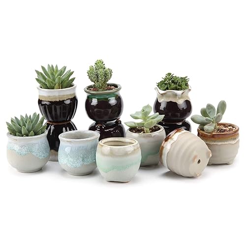 T4U Mini Ceramic Succulent Pots, Small Gift Planters, Retro Decor Set of 12 - color: Flowing Glazed, size: Pack of 12