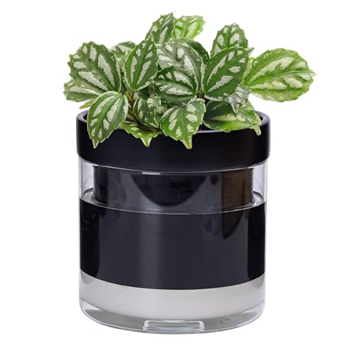 Phoenix Vine 6 Inch Self Watering Terracotta Planter, Black Terracotta Clay Pot with Glass Reservoir for Indoor Plants, Herbs, Flowers, Set of 1, 52-C-F-1 - color: Black, size: 6" (1 Pack)