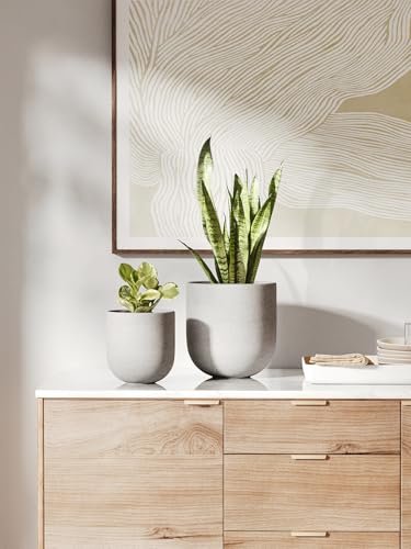 LE TAUCI 6 Inch Ceramic Plant Pot, Small Indoor Planter, Neutral Gray - color: Neutral Gray, size: 6”