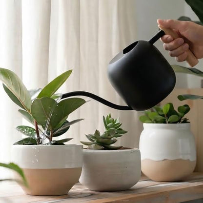 Watering Can 45 oz Long Spout Wooden Handle Stainless Steel