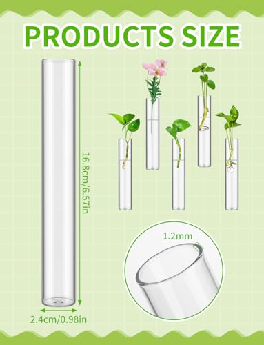 8 Tube Glass Plant Propagation Stations, Clear - color: Clear 8 Pcs