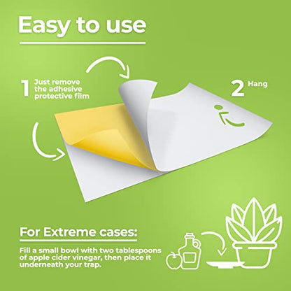 Fruit Fly Trap (20 Pack), Double-Sided Yellow Sticky Traps (Indoor & Outdoor), Fruit Fly Traps for Kitchen & Plants, Fruit Fly Killer - Sticky Gnat Trap Indoor Solution, Fungus Gnat Traps