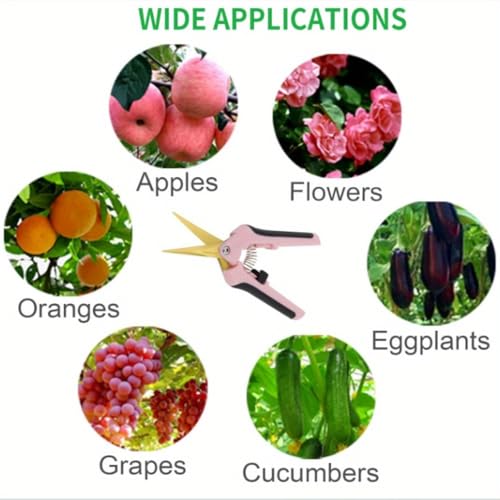 1PC Pruning Shears, Titanium Coated Garden Trimming Scissors with Coil Spring, Precision Gardening Hand Pruning Snips for Bonsai, Flowers, Plants Cutting (pink,curved blade) - color: Pink