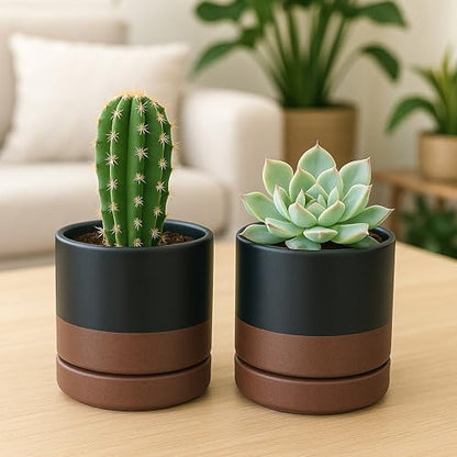 D'vine Dev 2-Pack Ceramic Pots with Saucers, Black/Tan, 4.7 in, 94-V-B-7 - color: Black/Speckled Tan, size: 4.7 Inch