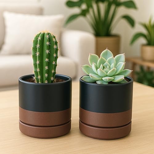 D'vine Dev 2-Pack Ceramic Pots with Saucers, Black/Tan, 4.7 in, 94-V-B-7 - color: Black/Speckled Tan, size: 4.7 Inch