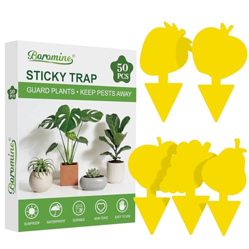 Yellow Sticky Traps for Plant Gnats, 50 Pack Fungus Gnat Trap, Effective Sticky Gnat Traps for Indoor and Outdoor Plants - color: Fruit