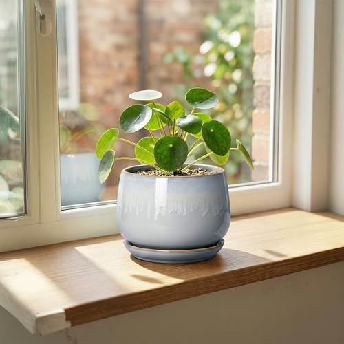 Ceramic Plant Pots 6 Inch, Indoor Flower Pots, Grey-White - size: 6 Inch, style: Grey-white