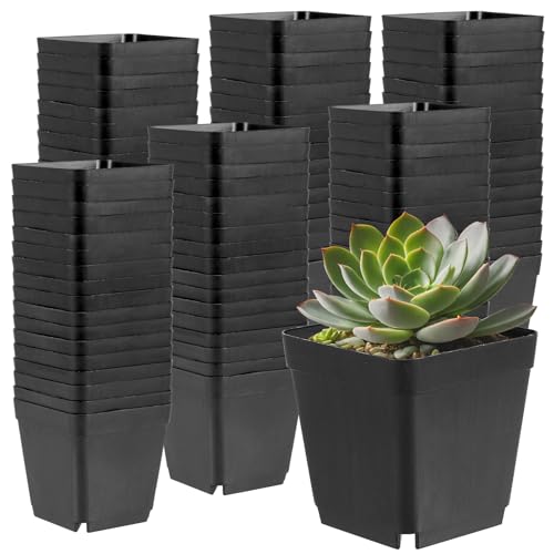 150 PCS 2.8 Inch Square Nursery Plant Pots, Plastic Plant Seedling Pots with Drainage Holes, Black Plant Seedling Pots for Starting Seedlings or Garden Plant