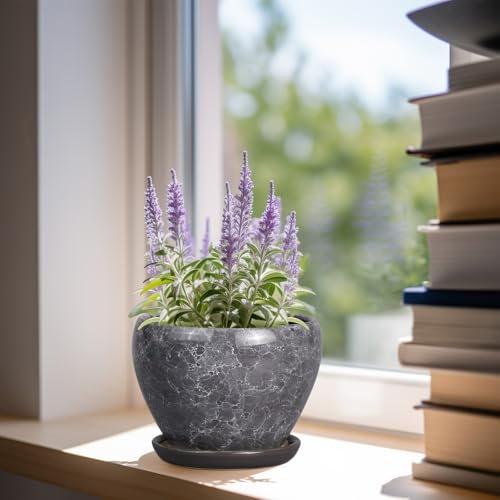 Ceramicfor Ceramic Planter - 6 Inch Plant Pot with Drainage Hole and Saucer, Succulent Pot Glaze Round Flower Pot for Indoor Outdoor Plants, Gray - color: Gemstone Gray, size: 6 Inch