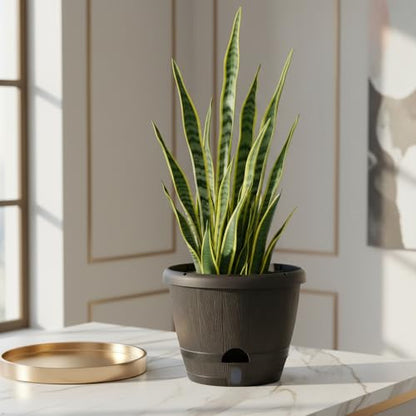 Sun-E 10 Inch Whiskey Barrel Self Watering Planters, Wood Look, 3-Pack - color: Deep Wooden Grain