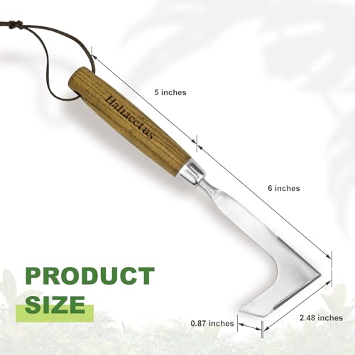 Haliaeetus Crack Weeder Tool, L Shaped Stainless Steel Crevice Weeding Tool - size: 11'' Crack Weeder Tool