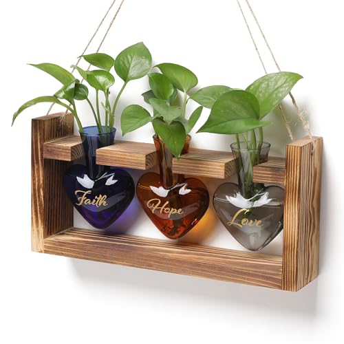Plant Terrarium Propagation Stations Hydroponics - color: Color 3(Faith Hope Love)
