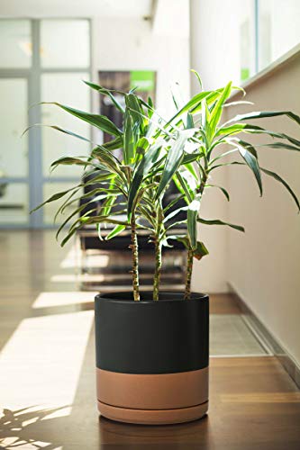 D'vine Dev 8 Inch Ceramic Planter Pot, Black/Tan, 94-O-D-7 - color: Black/Speckled Tan, size: Medium