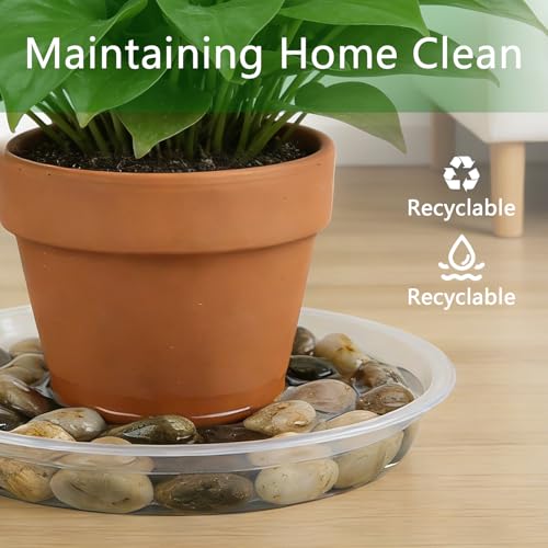 6Pack Plant Saucer, 3 5 7 9 11 13 15 17 19 21 In Plastic Plant Tray - size: 19 Inch