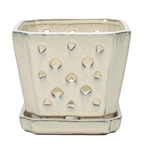 W&W Orchid Pot with Holes and Saucer for Repotting and Better Grow, Cream White, 7" - color: Cream White