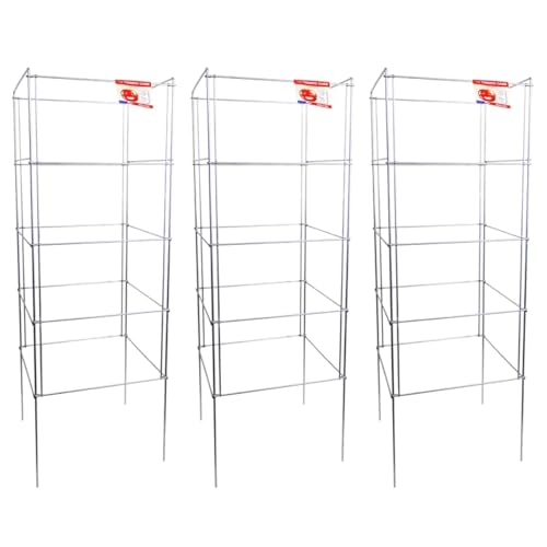 Cedar Ridge Square Foldable Tomato Cages - Heavy Duty Plant Support for Vegetable Garden, Vegetables, and Flowers - Stakes and Trellis for Climbing Plants - Made in The USA (13x40) - 3-Pack - size: 13 x 40 inches