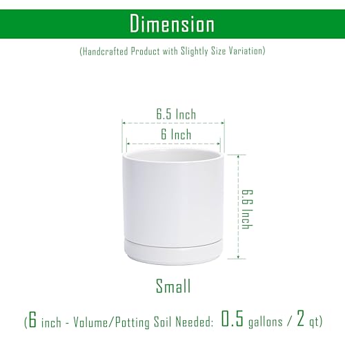 D'vine Dev 2-Pack Ceramic Pots with Saucers, White, 6.5 in, 94-V-C-1 - color: White, size: 6 Inch