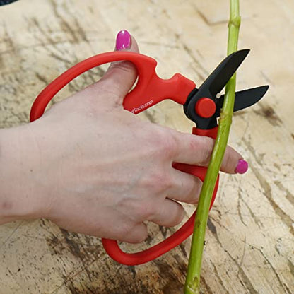MerakiFloralTools Flower Scissors With Black Carbon Steel Blades 6.7 Inch, Amaryllis (Red) - style: 6.7 Inch Red