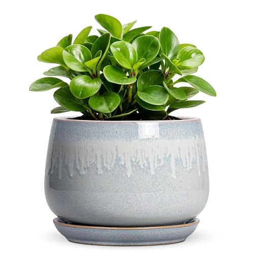 Ceramic Plant Pots 6 Inch, Indoor Flower Pots, Grey-White - size: 6 Inch, style: Grey-white