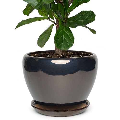 11 Inch Ceramic Plant Pot with Drainage Hole Mesh Net, Large Gardening Pots for Indoor Plants with Saucer, Black - color: Black, size: 11 Inch