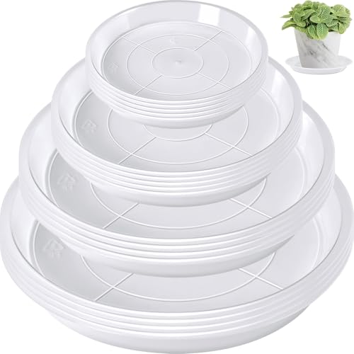 Augshy 18 Pack Plant Saucer, Clear Drip Trays for Potted Plants, 4 Sizes - color: Clear, size: 4/6/8/10 Inch