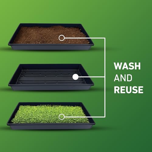 10x20 Inch Black Plastic 100 Pack Plant Propagation Tray No Holes - color: Black, size: 100-Pack