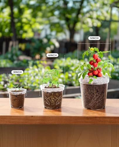 homenote 3/4/5 Inch Clear Nursery Pots with Drainage and 20 Labels (30 Pcs) - color: Transparency-no Lid, size: 3/4/5 Inch-30 Pack