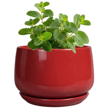 G EPGardening Ceramic Pots for Plants, 4 Inch Succulent Pots, Red - color: Red, size: 4 Inch