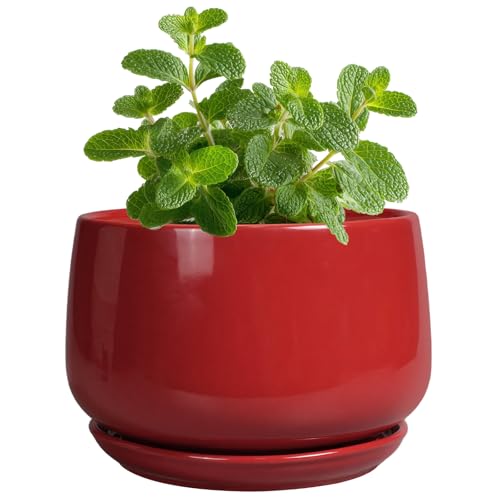 G EPGardening Ceramic Pots for Plants, 4 Inch Succulent Pots, Red - color: Red, size: 4 Inch
