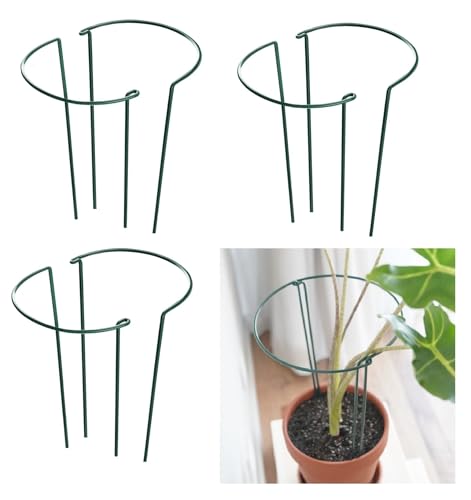 6 Pack 13.8 Inch High Plant Stake,Garden Plant Support,Half-Round Peony Cage Plant Ring Hoop - size: 7.9x13.8 Inch-6Pack