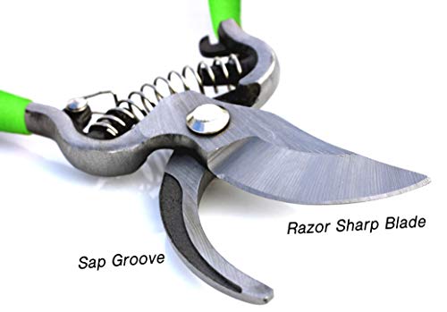 GARDEN GURU Classic Bypass Pruning Shears Clippers – Heavy Duty Forged Steel Garden Pruners – Safety Lock – Non Slip Comfort Grips – Cuts up to 1” Diameter – Professional Bypass Pruners for Gardening - size: 1 Pack, style: Bypass Pruner