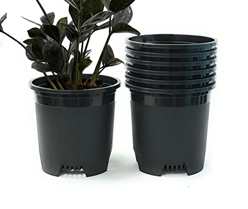Cotta Planters 2 Gallon Black Nursery Pot Plastic 6-Pack Planter Pots Pot Liners for Outdoor Indoor Plants Gardening Flower Pots with Drainage Holes - color: Black, size: 6-Pack 2 Gal