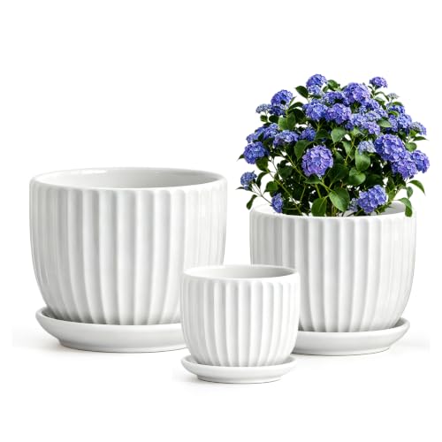 White Plant Pots,Ceramic Flower Pot Set of 3 with Drainage Holes & Saucers - color: White