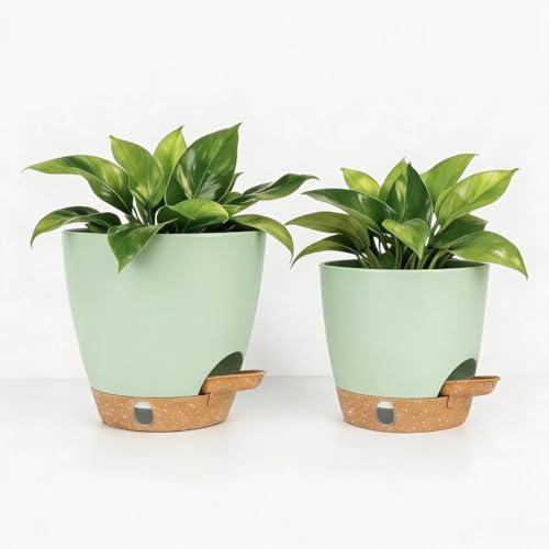 Self-Watering Plant Pots for Indoor Plants: 5/6 Inch Plastic Planter with Water Level Indicator, Drainage Holes & Deep Reservoir, Modern Decorative Flower Pot (Green) - color: Green