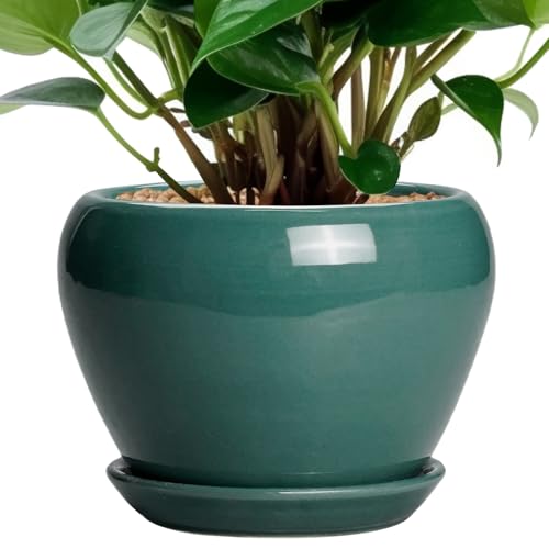 Ceramicfor Indoor Plant Pot 6 Inch - Ceramic Planter with Drainage Hole and Saucer, Modern Decorative Indoor Planter for Herb Succulent Plants, Garden Home Decor, Gifts for Plant Lovers, Green - color: Green, size: 6 Inch