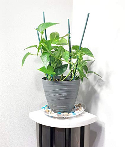 2 Pack of 10 inch Clear Round Plant Saucer, Thicker Plastic Tray for Indoor, Durable Flower Pot Planter Saucers with Multiple Support Footing Designed for Improved Airflow. - size: 10" - 2 Pack