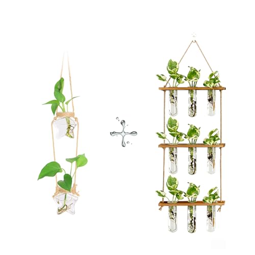 XXXFLOWER Wall Hanging Propagation Station 9 Tube Vases+2 Tiers Star Shaped Glass Flower Vase for Hydroponic Planter