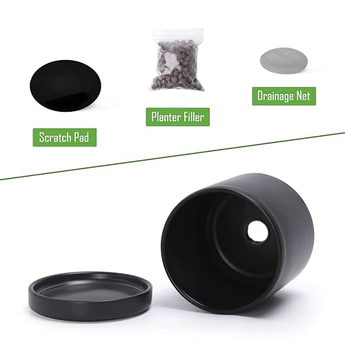 D'vine Dev 2-Pack Ceramic Pots with Saucers, Black, 3.5 in, 94-V-A-2 - color: Black, size: 3.5 Inch