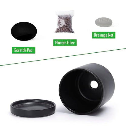 D'vine Dev 2-Pack Ceramic Pots with Saucers, Black, 3.5 in, 94-V-A-2 - color: Black, size: 3.5 Inch