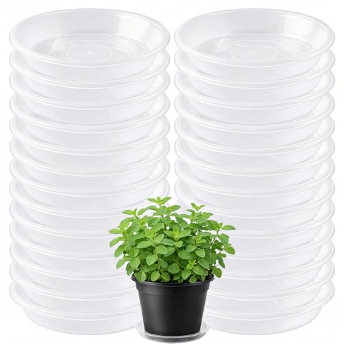 30 Pack Clear Plant Saucer 5 Inches Plastic Drip Trays to Catch Water - size: 5 Inch