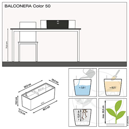 Lechuza BALCONERA Color 50 Slate, Self-Watering Window Box (Railing Planter), H7.5 L19.7 W7.5 in - color: Slate Matte, size: 50 cm, style: 50